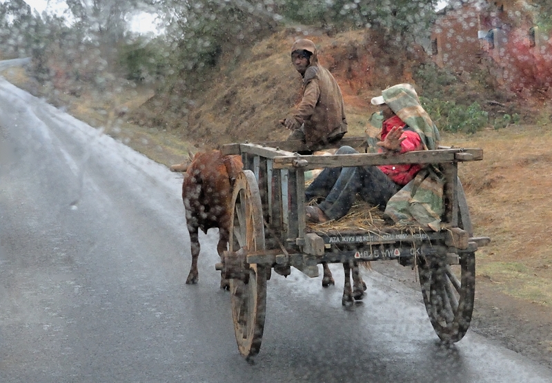 848 - POURING RAIN - KETTLER JEAN-PAUL - france.jpg